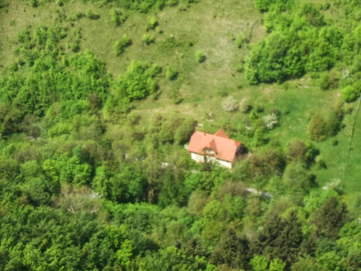 Nicehead Spacious Nest Between Maribor And Celje Lägenhet Loče pri Poljčanah Exteriör bild